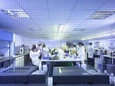 Tailor-Made Laboratory Testing Packages
