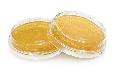 New Contact Plates for Improved Detection of Microorganisms on Disinfected Surfaces in Isolators and Cleanrooms
