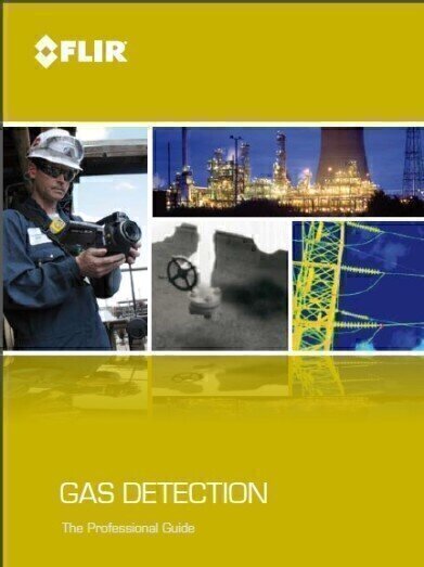 Professional Guide to Gas Detection
