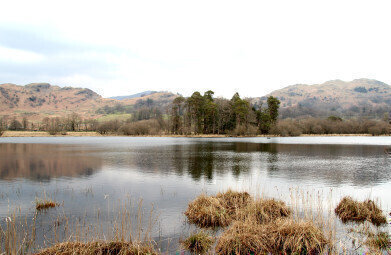 Phosphate monitor protects Cumbrian lake during restoration
