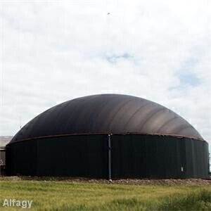 Environmental analysis news: Biogas made available to UK homes