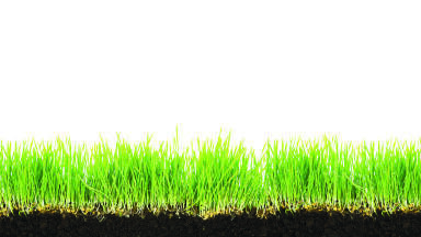 What Lies Beneath – New Soil Health Analysis Service for Landowners Launched During the UN International Year of Soils