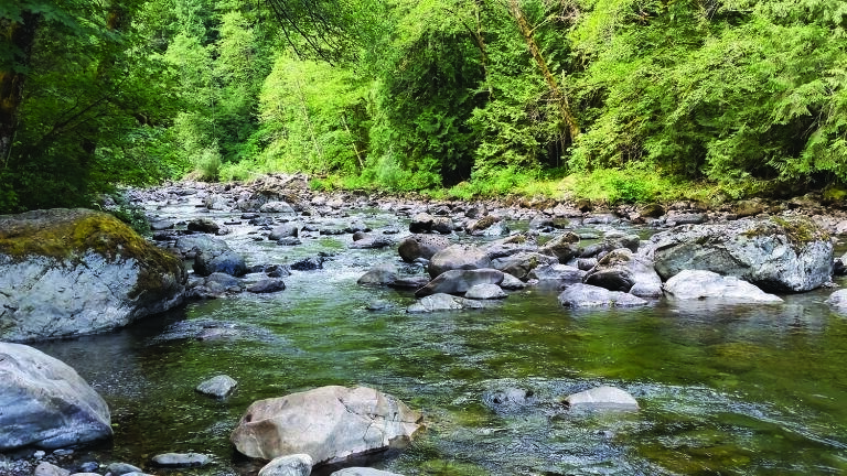Waters are more polluted than tests say: Standard toxicity analyses come up short