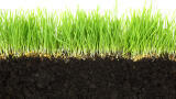 Measuring trace gas emissions from soil: Solving the known unknowns