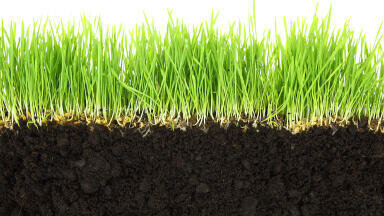 Measuring trace gas emissions from soil: Solving the known unknowns