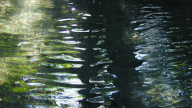 New Water Turbidity Measurement Technology