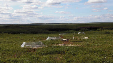 Enhanced Nitrous Oxide Emissions Found in Field Warming Experiment in the Arctic