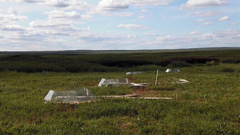 Enhanced Nitrous Oxide Emissions Found in Field Warming Experiment in the Arctic