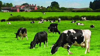Monitoring Methane Emissions from Agriculture and Dairy Farming