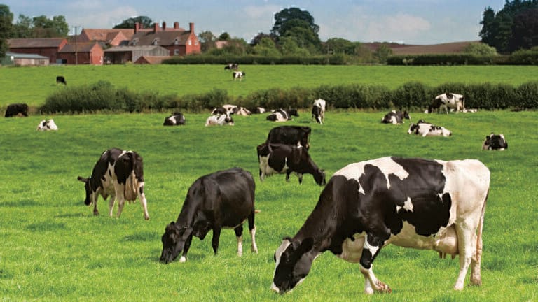 Monitoring Methane Emissions from Agriculture and Dairy Farming
