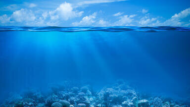Microplastic Pollution: Everyone’s problem - but what can be done about it?