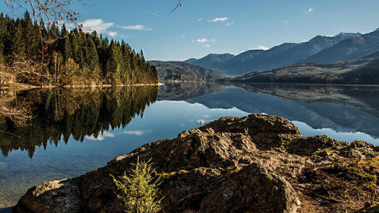 Micropollutants, Contaminants of Emerging Concern and endocrine disruptors in treated water