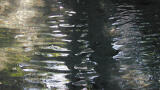Improved Mill Performance, Wastewater Treatment, and Health and Safety with Novel COD Monitoring Technology
