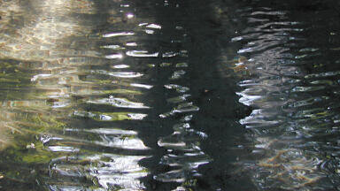 Improved Mill Performance, Wastewater Treatment, and Health and Safety with Novel COD Monitoring Technology