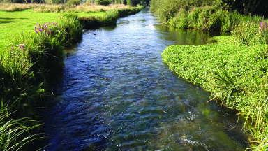 High-resolution monitoring is essential for river conservation