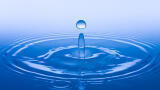 Ultrapure Water for Determination of Toxic Elements in Environmental Analyses