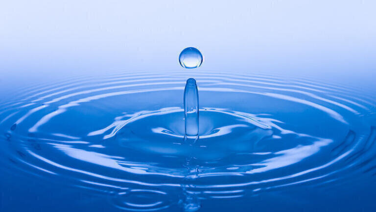 Ultrapure Water for Determination of Toxic Elements in Environmental Analyses