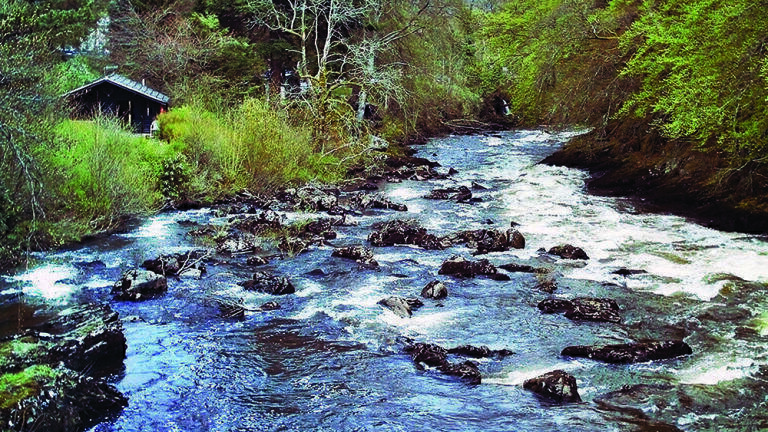 Lubricants and the Environment