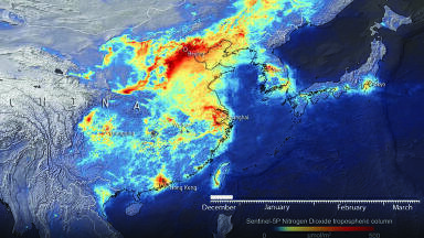 The Environmental Implications of Coronavirus