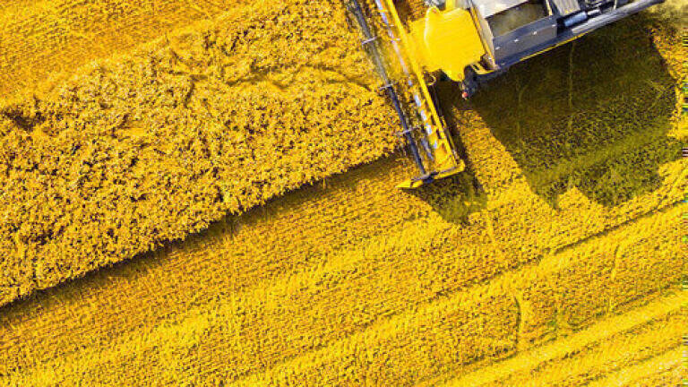Rapid and Accurate Analysis of Sulphur and Chlorine in Biofuels by XRF