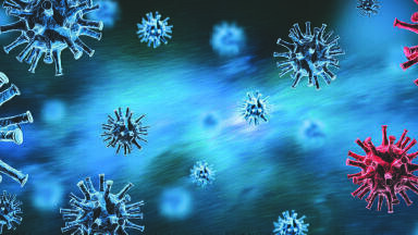 Decontamination Without Monitoring is Like Shooting in the Dark