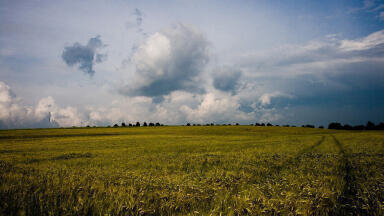 Monitoring Abstraction for Agriculture
