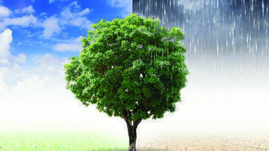 Capturing the Evidence of Weather Impact and Climate Change