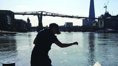 The Impact of Emerging Contaminants to the Environment and Human Health
