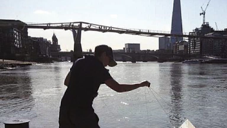 The Impact of Emerging Contaminants to the Environment and Human Health