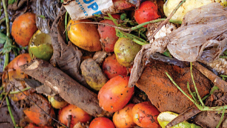A comprehensive study on the effect of wasted food on greenhouse gas emissions