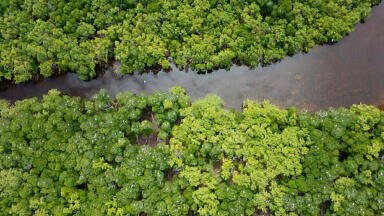 How to Measure the Pressure on our Eco-System