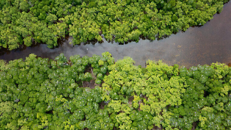 How to Measure the Pressure on our Eco-System