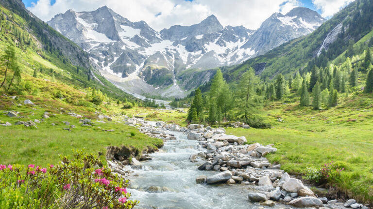 AI supports flow measurements