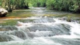 Analysis of volatile organic compounds in water using purge and trap coupled to single quadrupole GC-MS