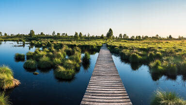 Protecting peatlands using satellite enabled IoT