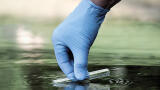 Poly and perfluoroalkylated substances (PFAS); the gathering storm for chemical regulatory professionals and the industry