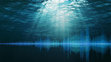 Monitoring the seabed - the subtle distinction