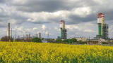 CEM for N2O emissions control from ammonia-fired power generation