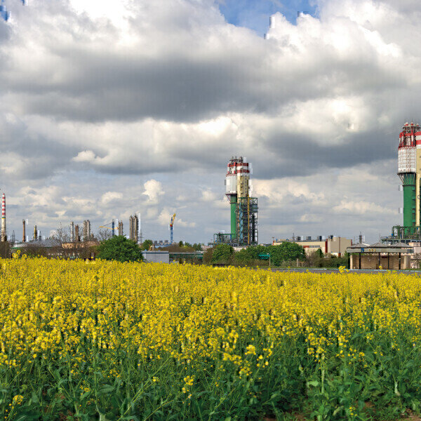 CEM for N2O emissions control from ammonia-fired power generation - Vimarsana News