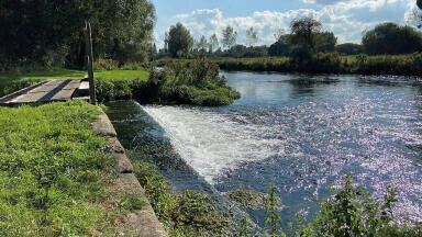 Continuous remote water quality monitoring networks