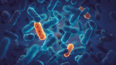 Development of analytical methods to assess antimicrobial contamination in the environment and its transfer in the food chain
