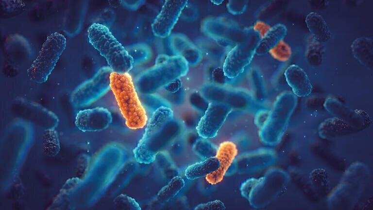 Development of analytical methods to assess antimicrobial contamination in the environment and its transfer in the food chain