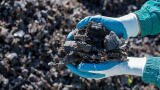Low carbon, big impact: Making the most of biowaste