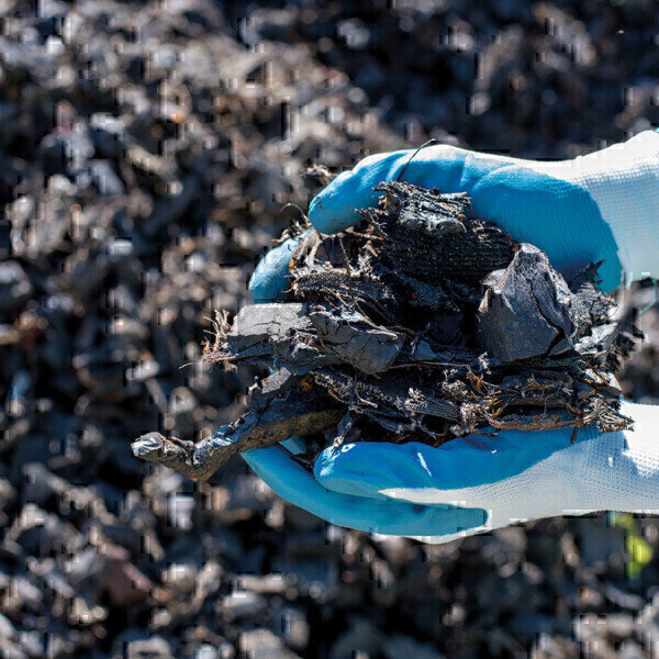 Low carbon, big impact: Making the most of biowaste - Vimarsana News