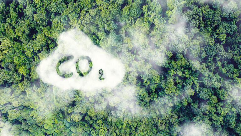 EU and Domestic Greenhouse Gas Emission Trading Systems - Continuous Sampling to determine the biogenic CO2 emissions