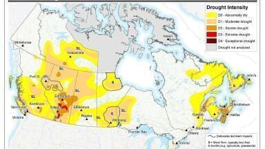 The evolving landscape of drought monitoring in 2025