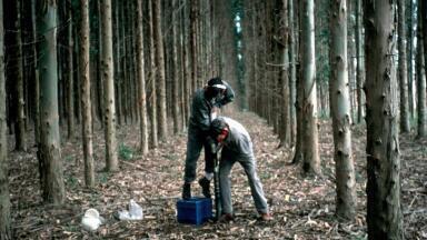 How to prepare for the EU Soil Monitoring Law