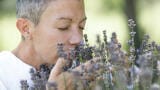 Tracing the scent – new analytical standards for environmental odour assessment