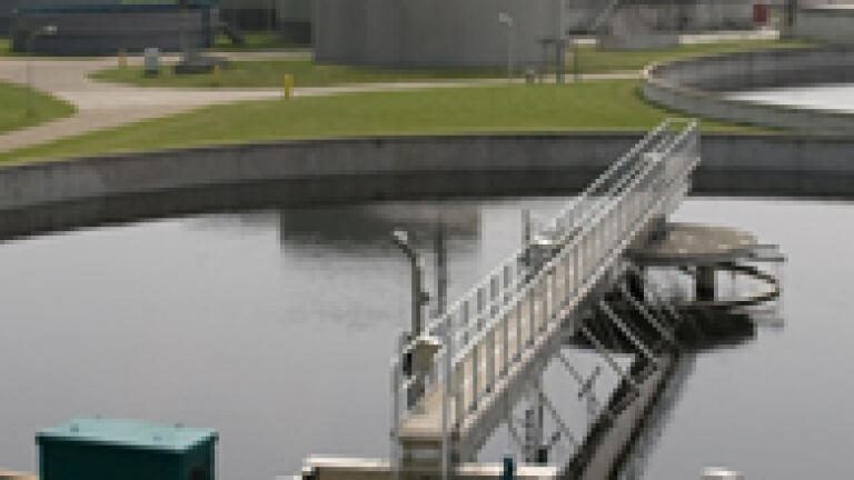 The Management of Ammonia Levels in an Aquaculture Environment