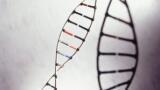 The Chromatographic Society: In the Dawn of being Middle-Aged!